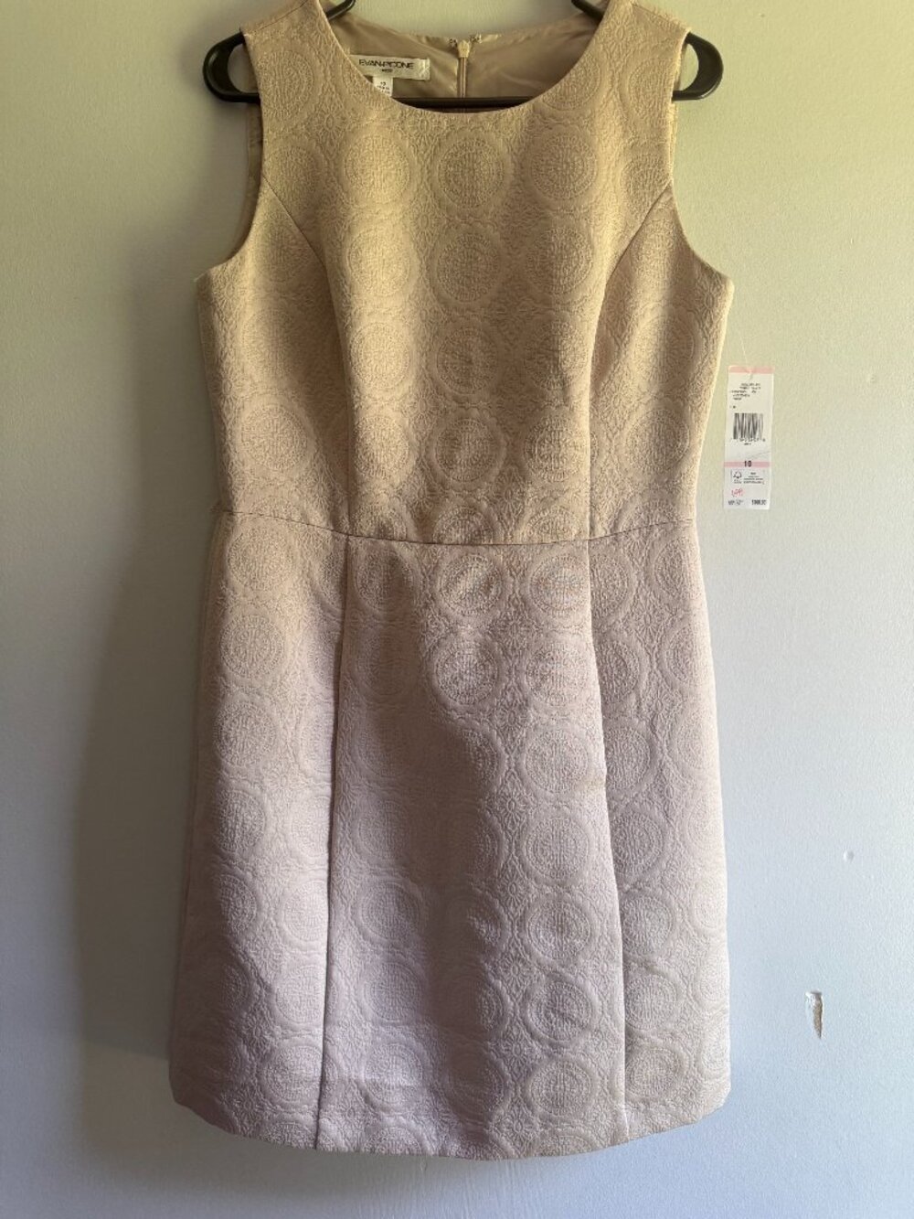 EvanPicone Champagne Dress (10)